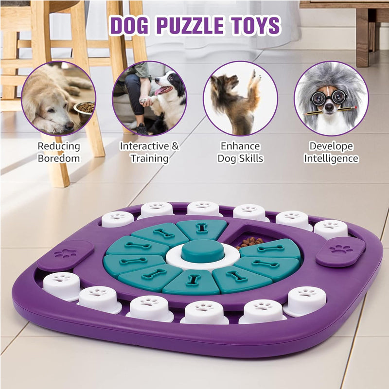 The Brain Board — Interactive Puzzle Toy