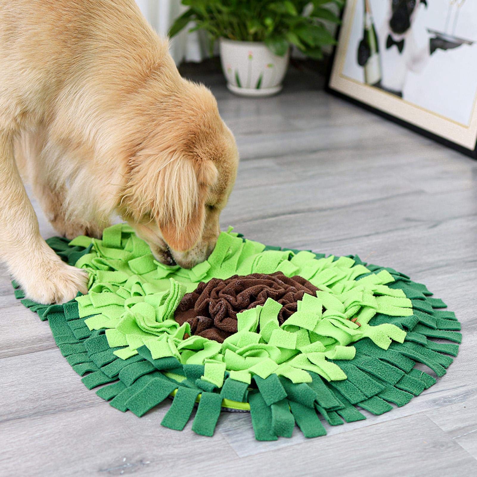 The Treasure Hunt — Snuffle Mat for Dogs