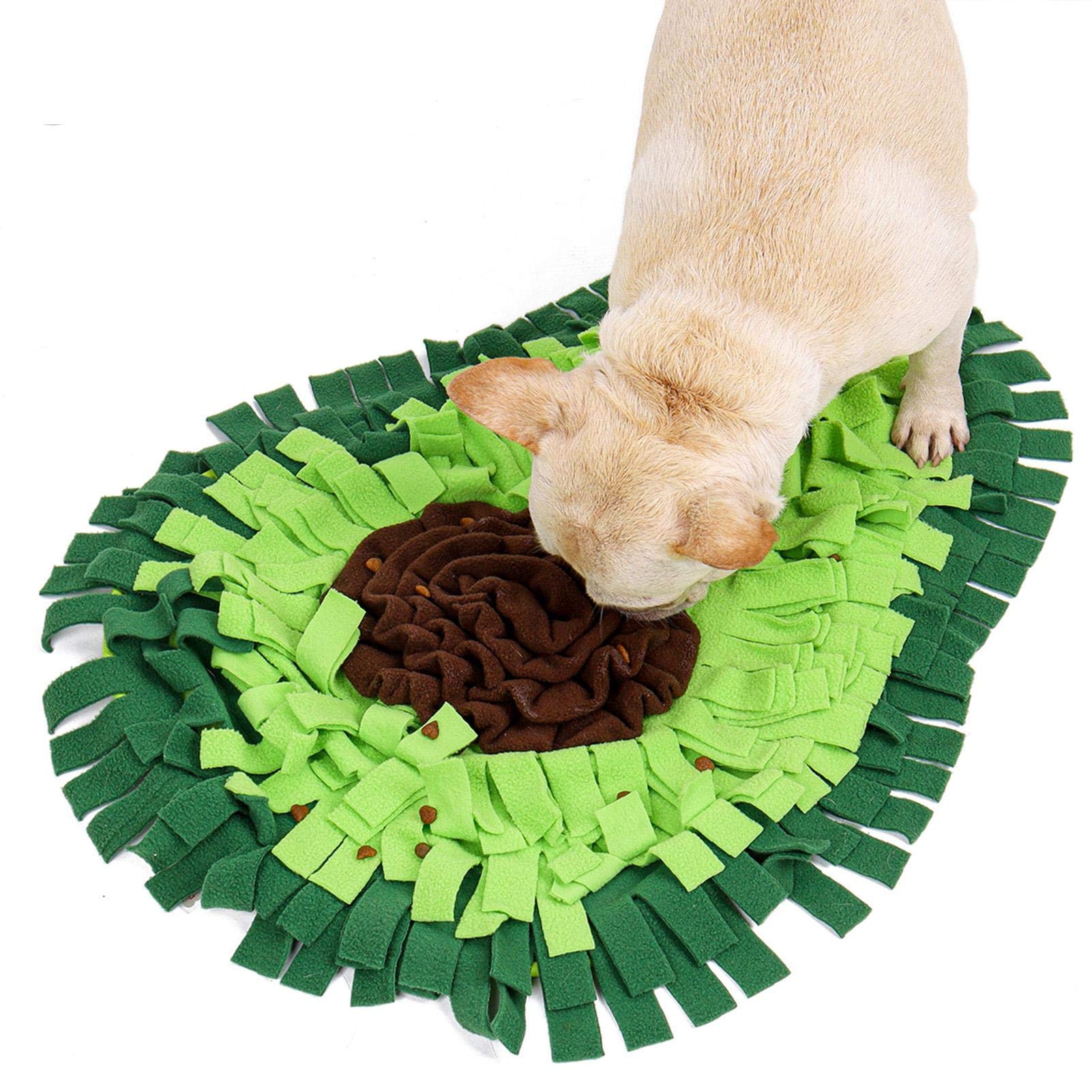 The Treasure Hunt — Snuffle Mat for Dogs