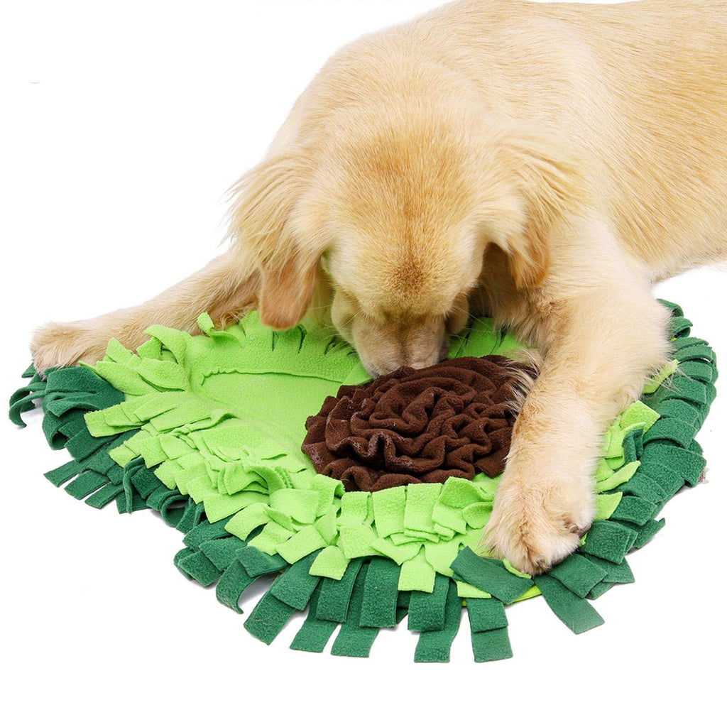 The Treasure Hunt — Snuffle Mat for Dogs