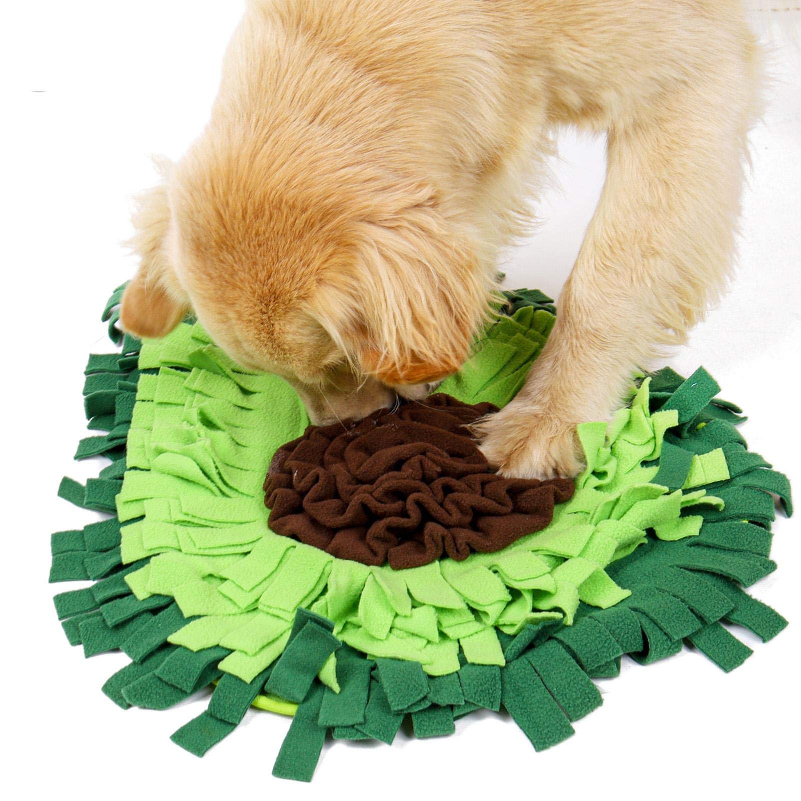 The Treasure Hunt — Snuffle Mat for Dogs