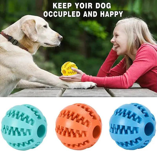 The Brain Ball — Treat Dispensing Puzzle Toy
